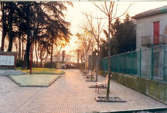 Galleria immagini